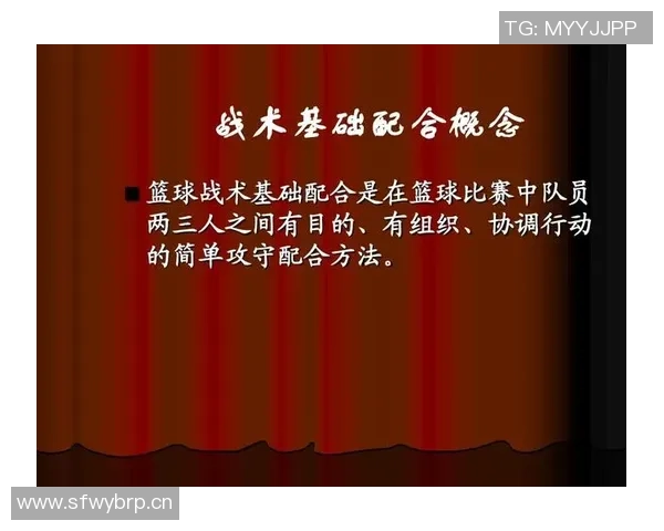 深圳羽毛球队快攻战术揭秘与深度分析探索 深圳羽毛球队快攻战术揭秘与深度分析探索